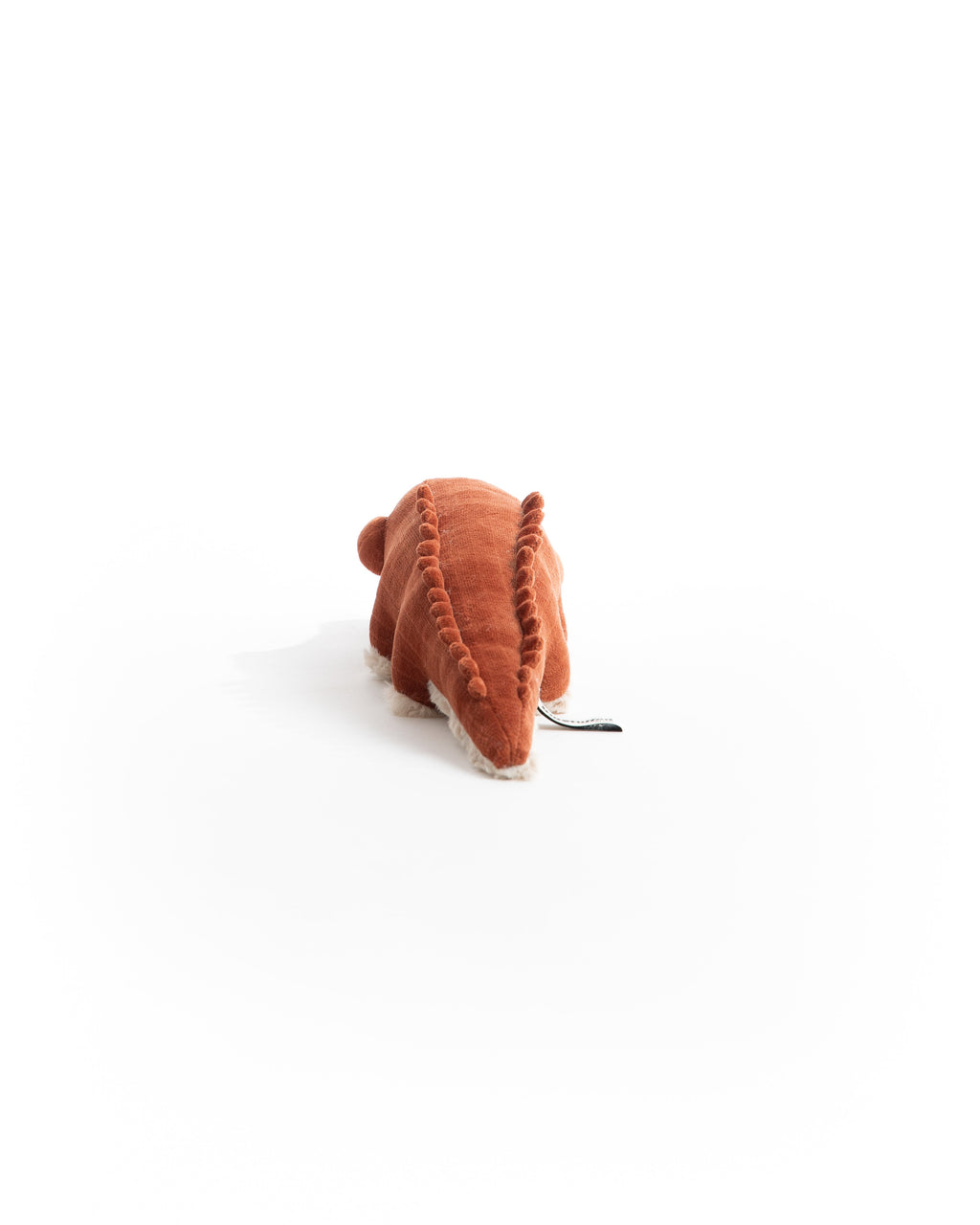 The Mini Crocodile