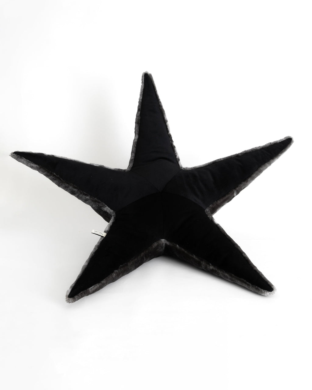 The Starfish