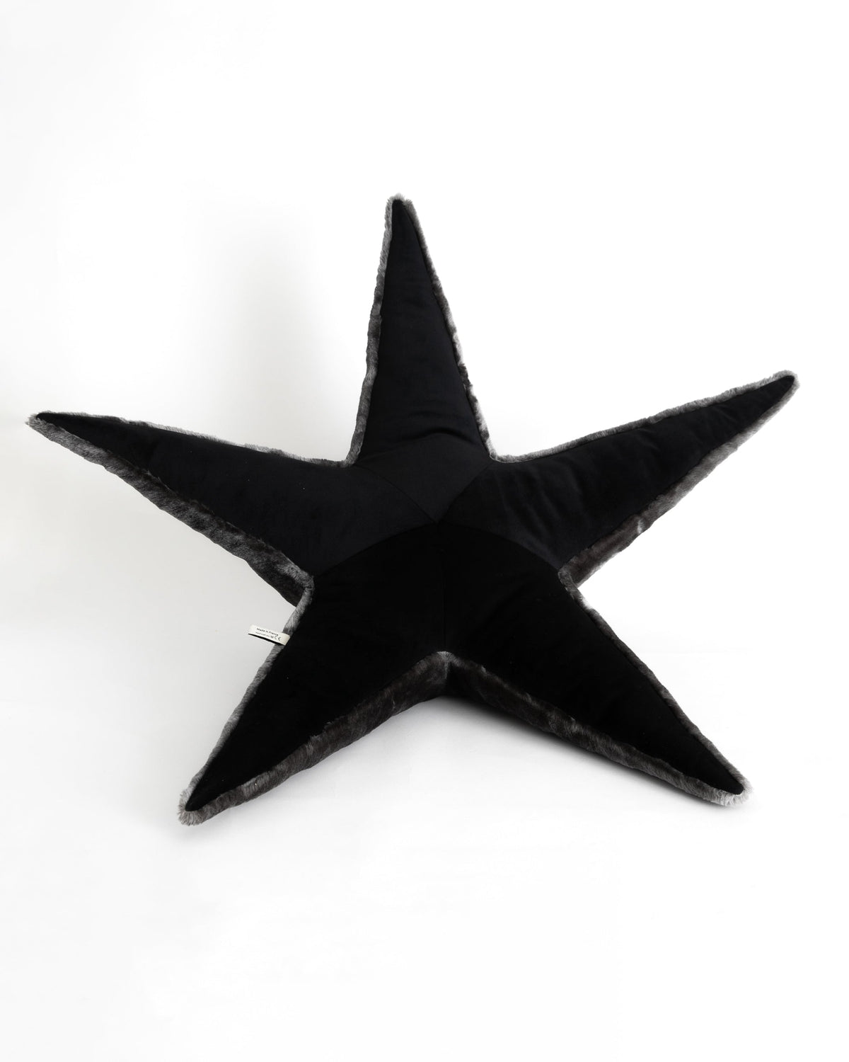 The Starfish