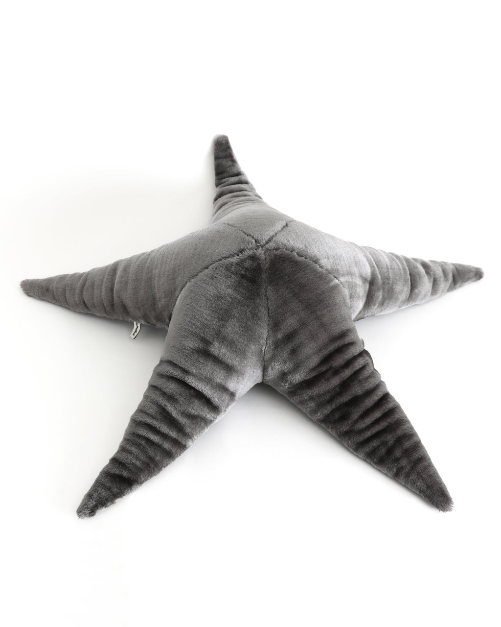 The Starfish