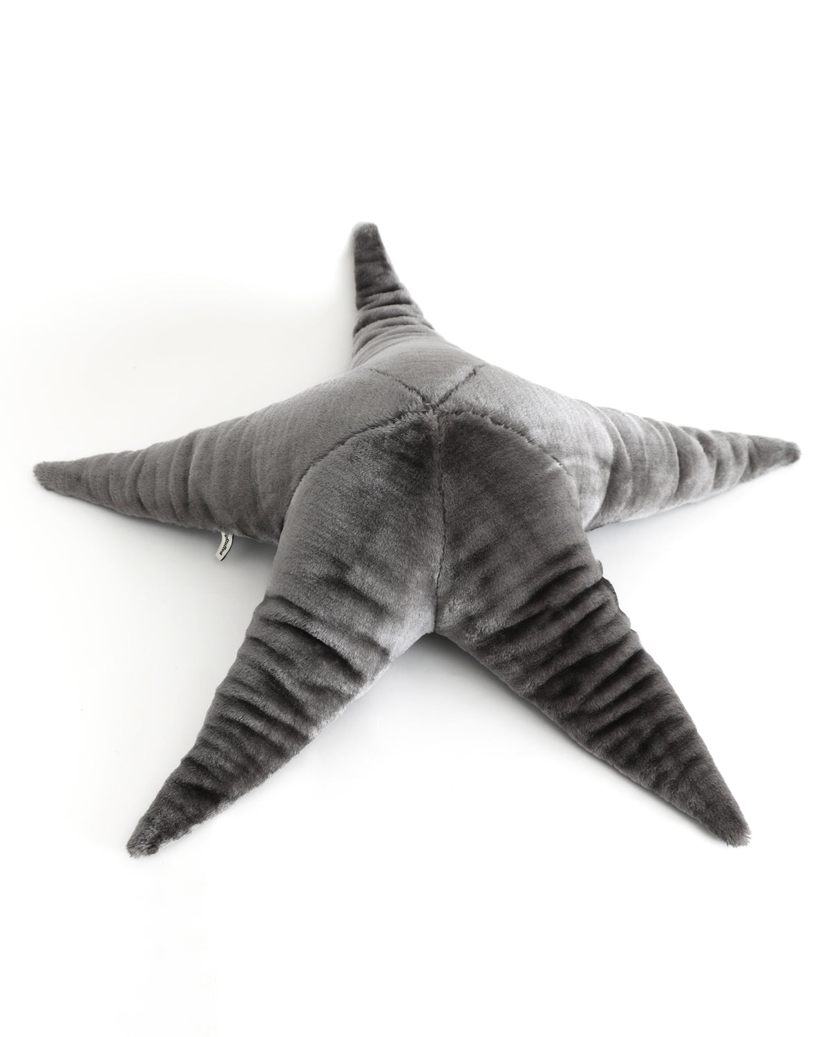 The Starfish