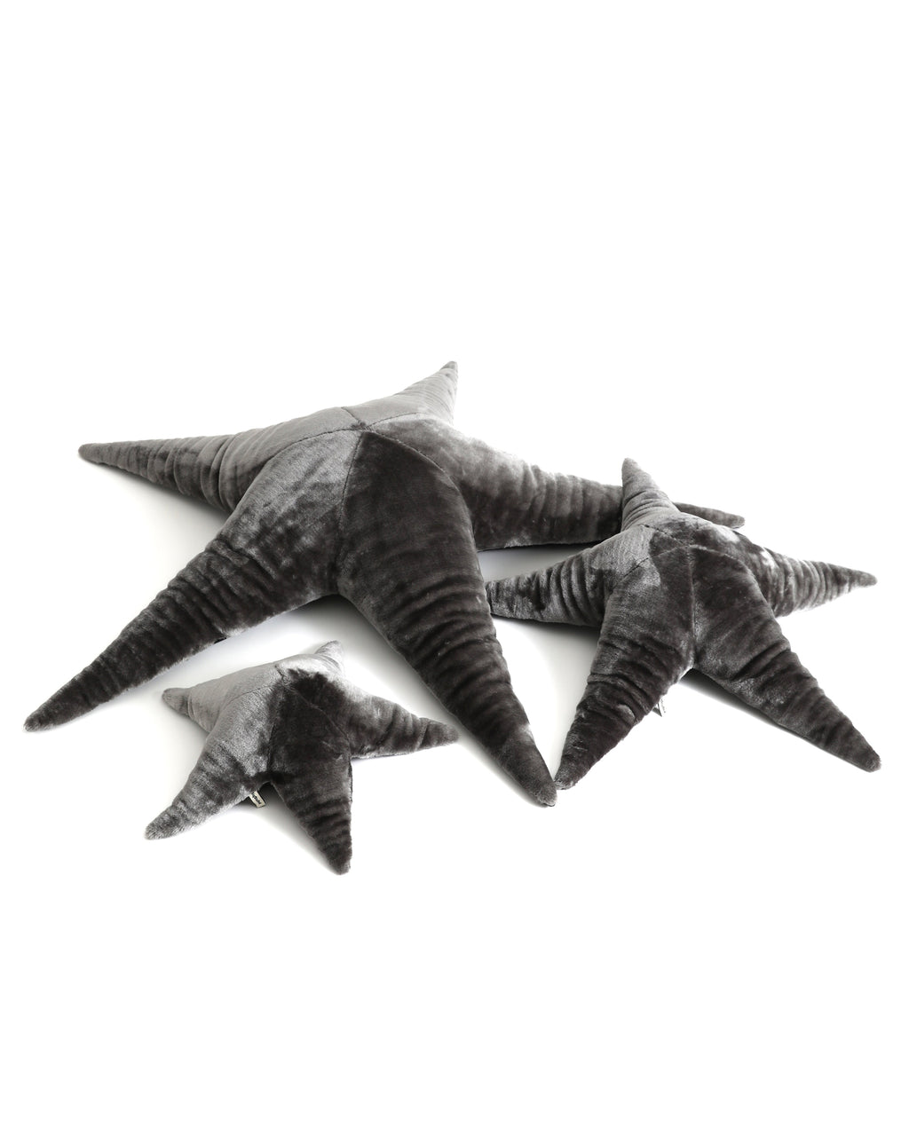 The Starfish