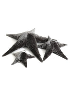 The Starfish