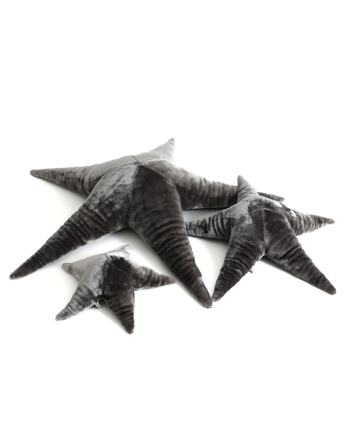 The Starfish