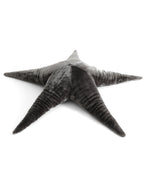 The Starfish