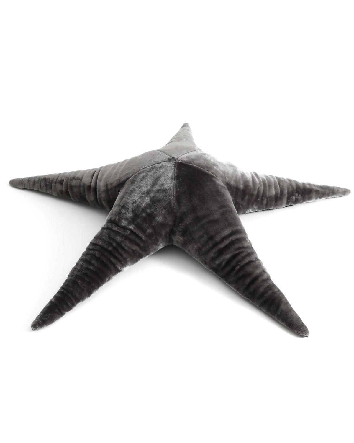 The Starfish