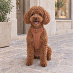 Everyday Comfort Harness