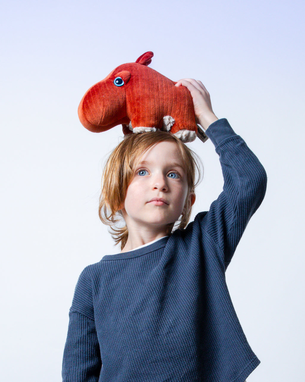 The Mini Hippo