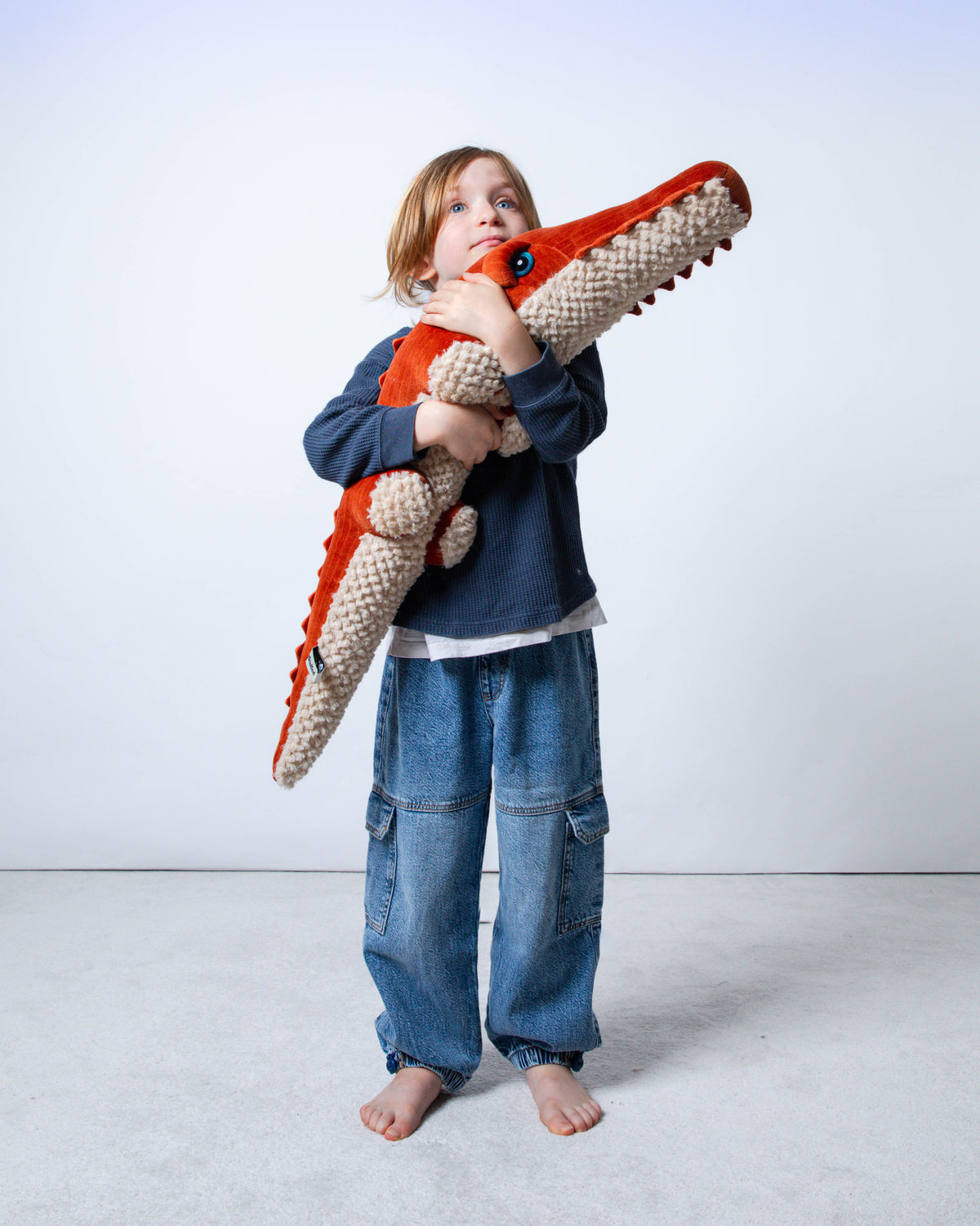 The Crocodile