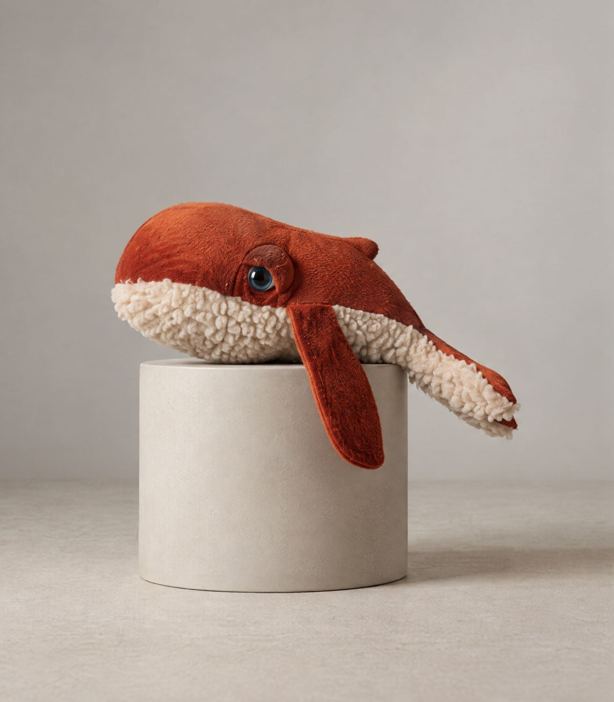 The Mini Whale