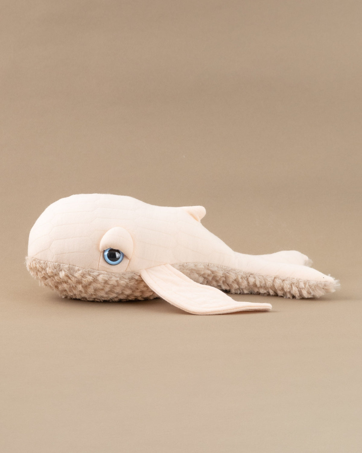 The Mini Whale
