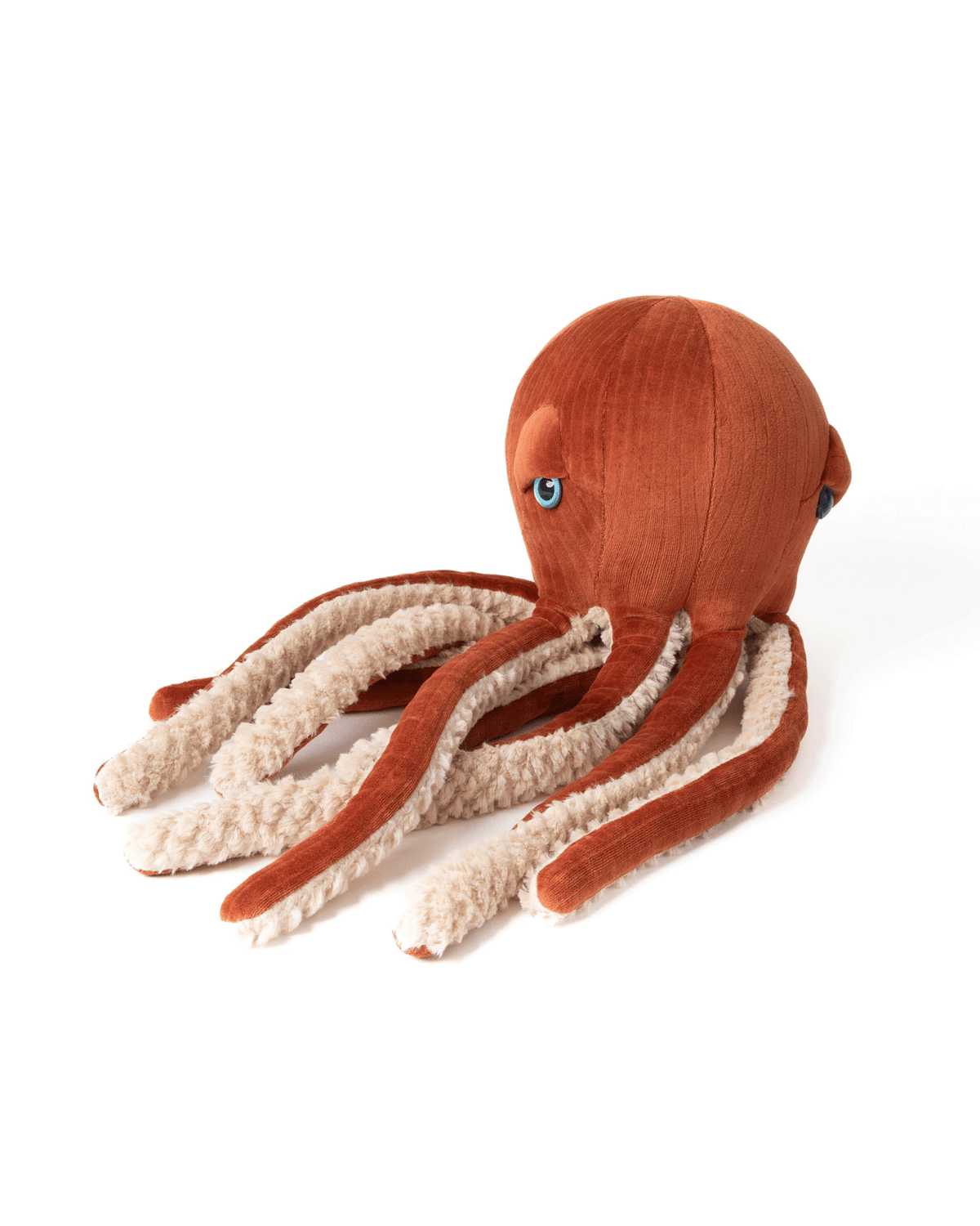 The Octopus
