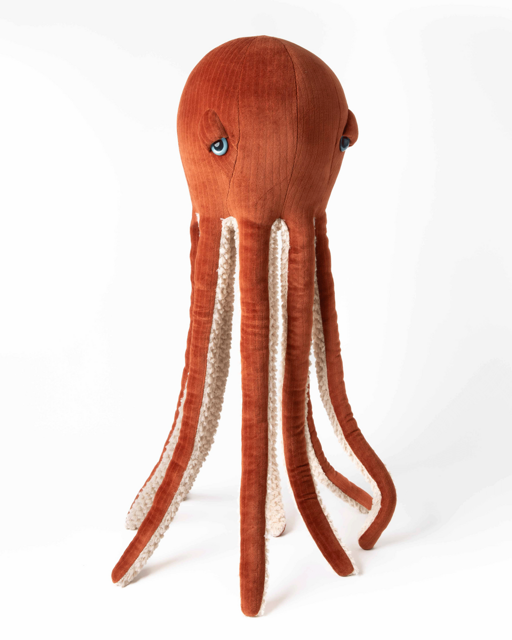 The Octopus