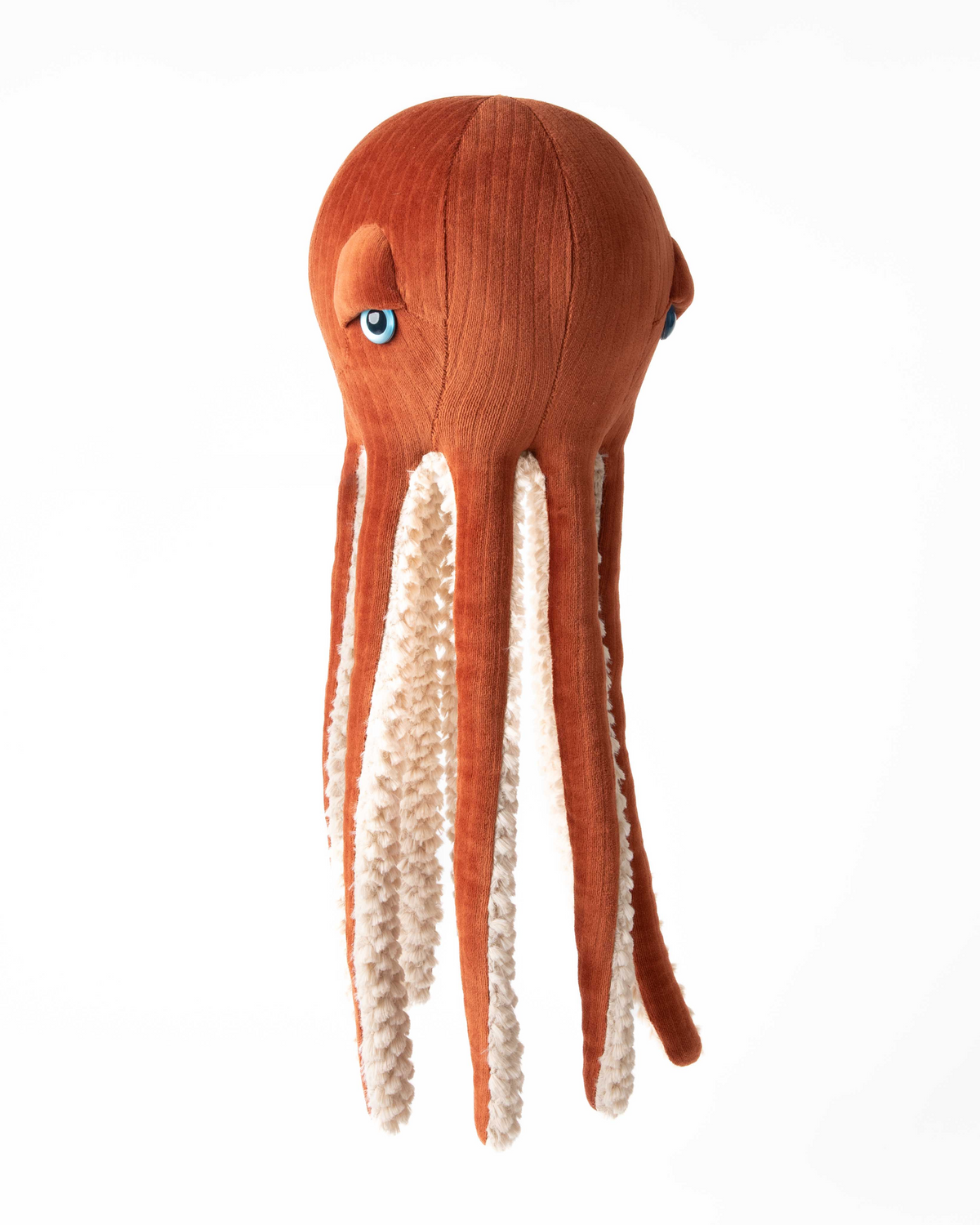 The Octopus
