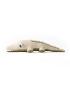 The Crocodile