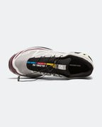 XT-6 GORE-TEX - Paloma/Maroon Banner-Butterfly