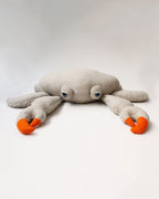 The Crab