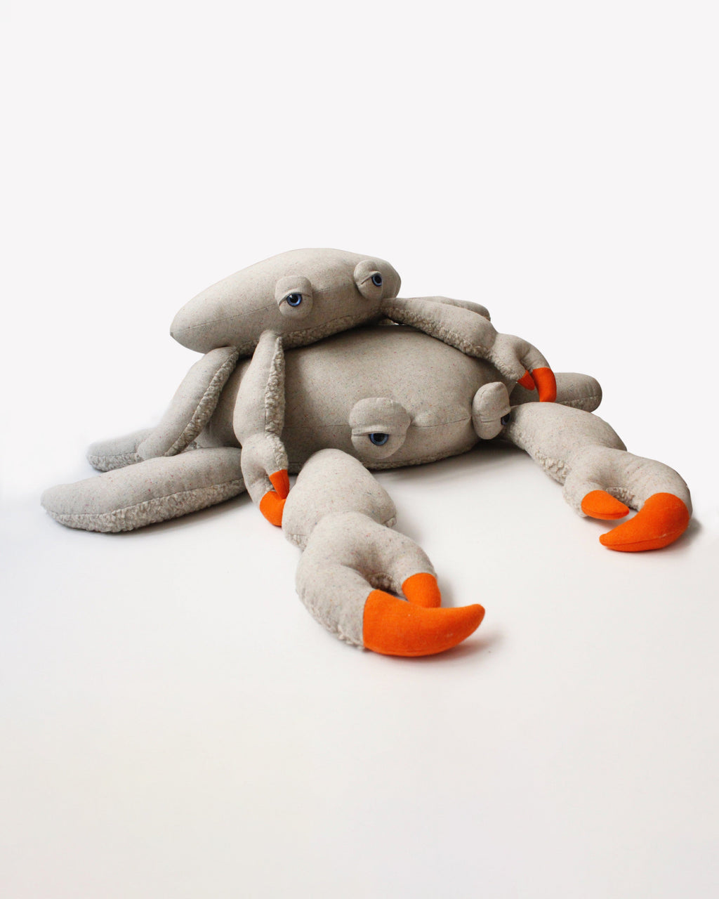 The Crab