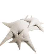 The Starfish