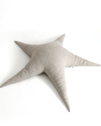 The Starfish